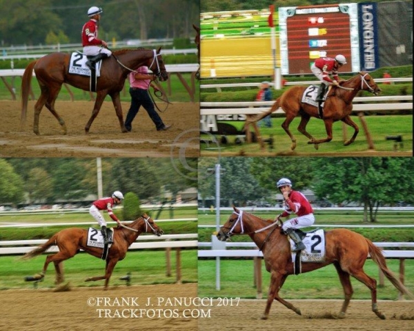 Gun Runner Collage