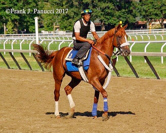 Killala Bay (J.Jerkens)