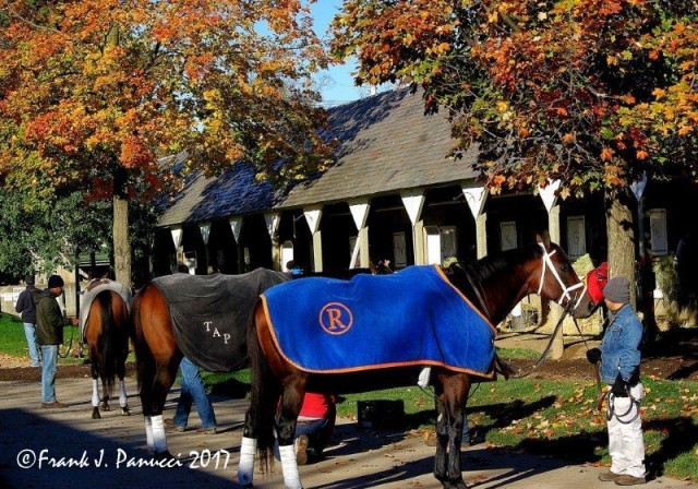 PLETCHER STABLE