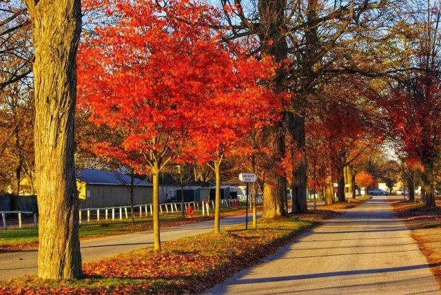 Saratoga in Fall